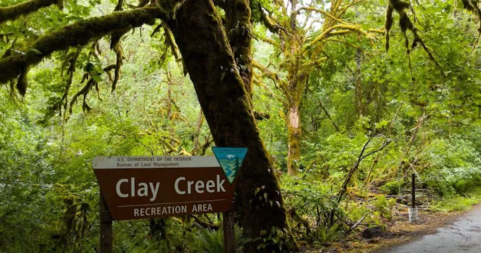 Clay Creek Recreation Site 9