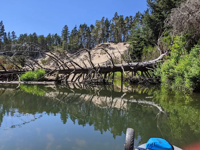 Tyee Campground 2