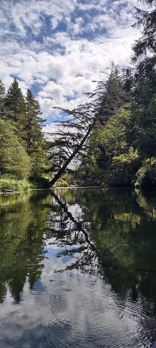 Tyee Campground 0