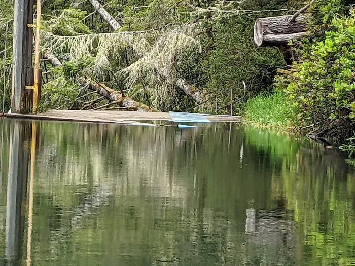 Tyee Campground 5