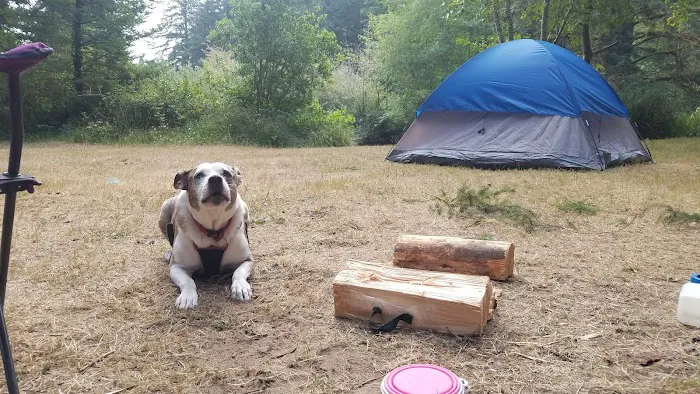 Tyee Campground 7