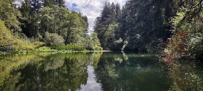 Tyee Campground 9