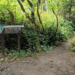 Whittaker Creek Recreation Site