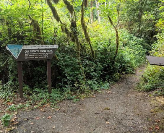 Whittaker Creek Recreation Site