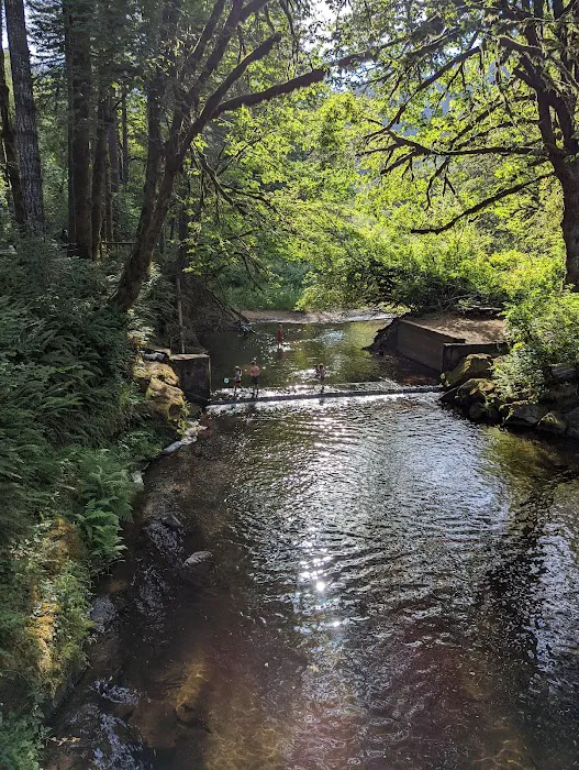 Whittaker Creek Recreation Site 2