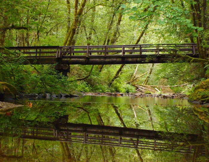Whittaker Creek Recreation Site 5