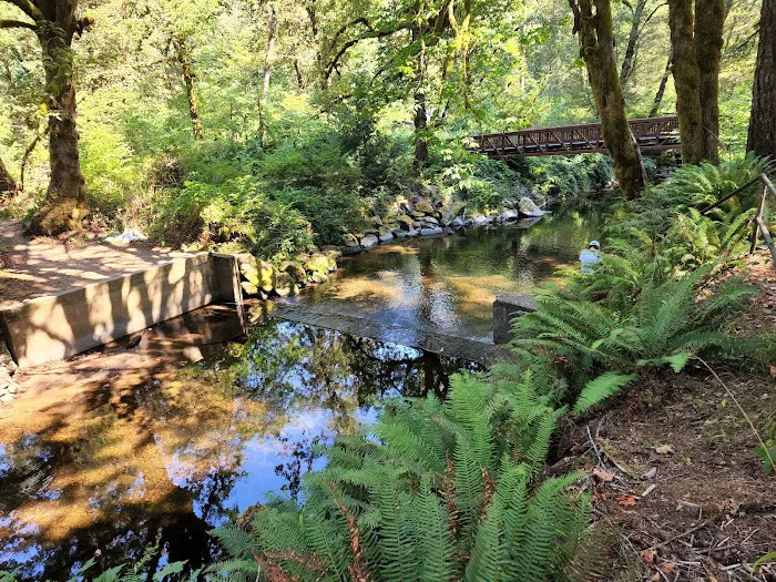 Whittaker Creek Recreation Site 6