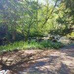 Archie Knowles Campground