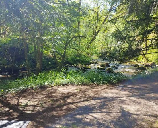 Archie Knowles Campground