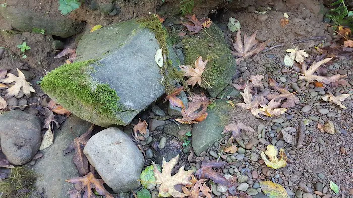Archie Knowles Campground 9
