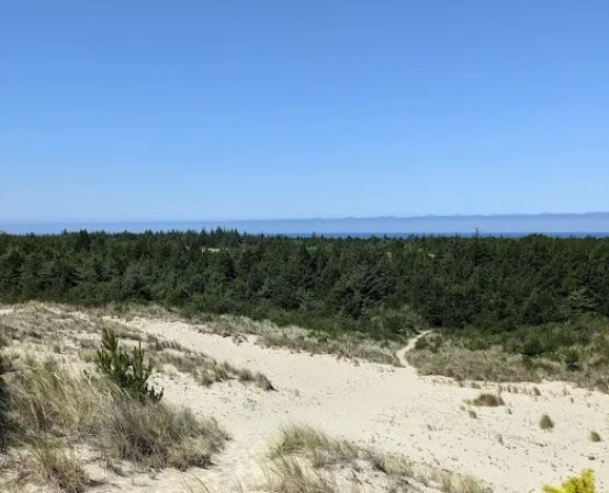 Carter Dunes Trailhead