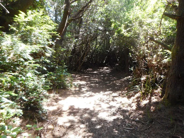 Carter Dunes Trailhead 9