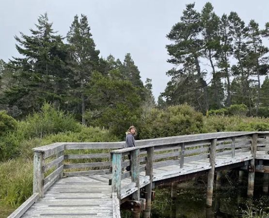 Lagoon Campground