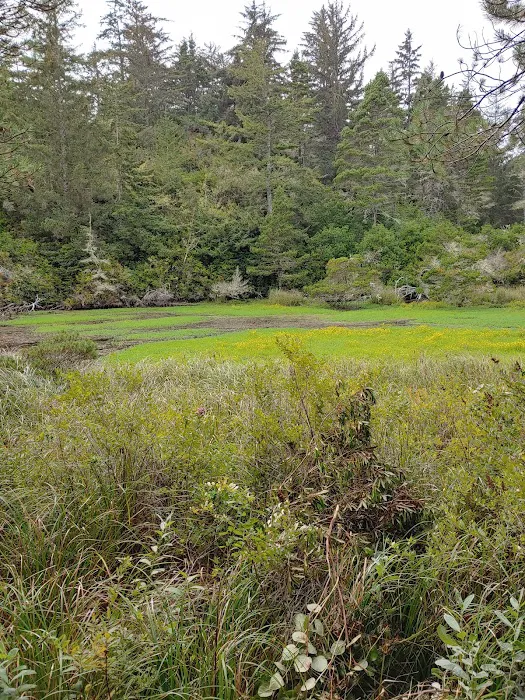 Lagoon Campground 9