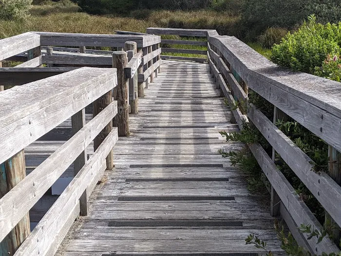 Waxmyrtle Campground 3