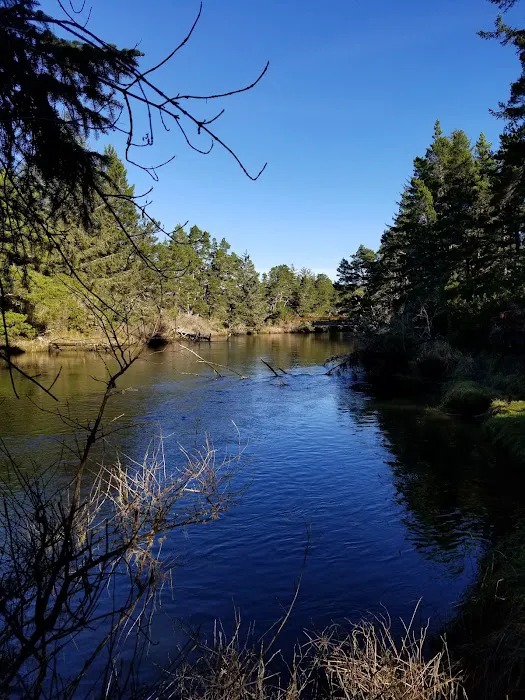 Waxmyrtle Campground 8