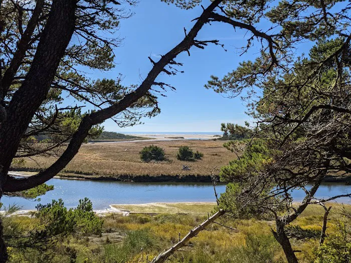 Waxmyrtle Campground 7
