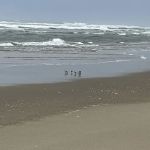 Siltcoos Sand Camping Access