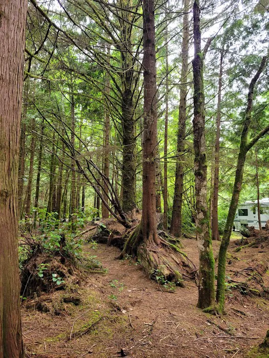 Sutton Campground 2
