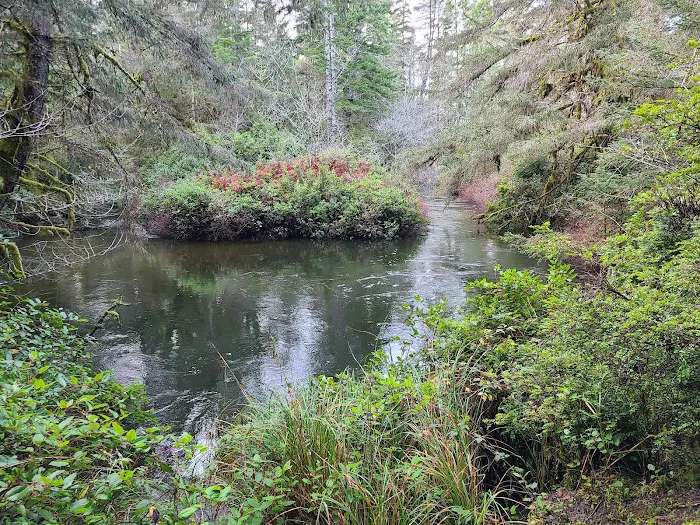 Sutton Campground 5