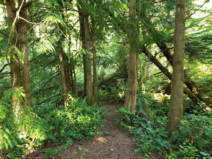 Sutton Campground 8