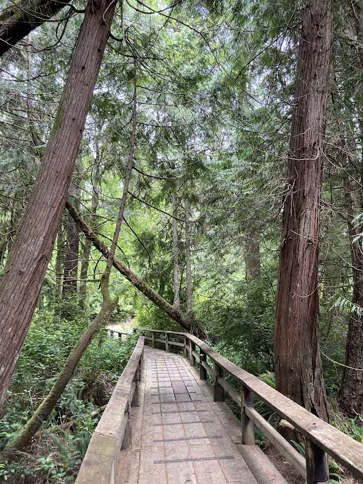 Sutton Campground 7