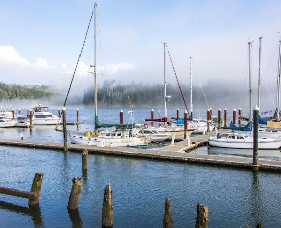 Port of Siuslaw Campground