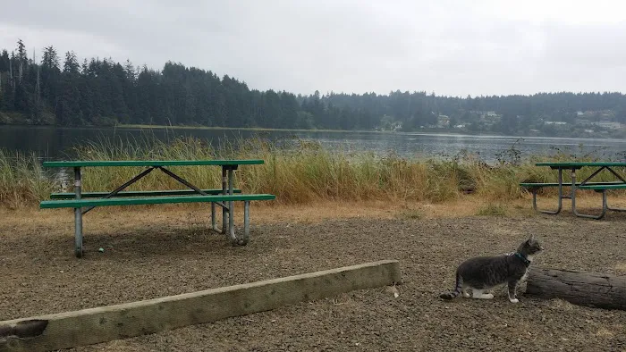 Port of Siuslaw Campground 2