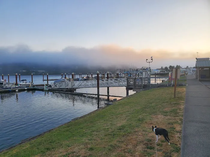 Port of Siuslaw Campground 6