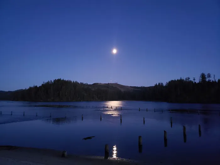 Port of Siuslaw Campground 5