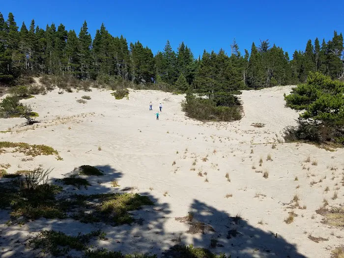 Alder Dune 5