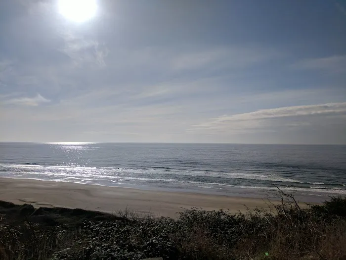Alder Dune 9