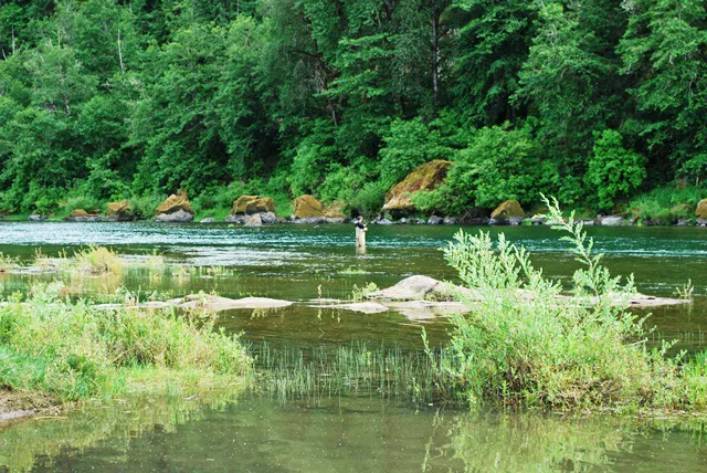 Umpqua Riverfront RV Park & Boat Ramp 0