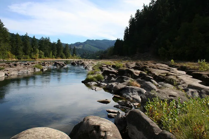 Eagleview Group Campground 4