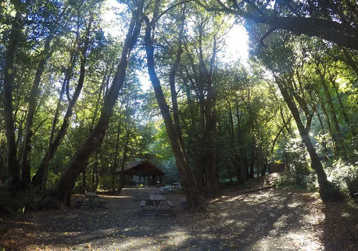 Eagleview Group Campground 3