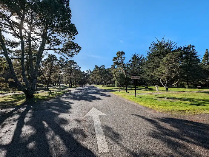Bullards Beach State Park Campground 1