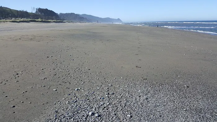 Coquille River RV Park 8