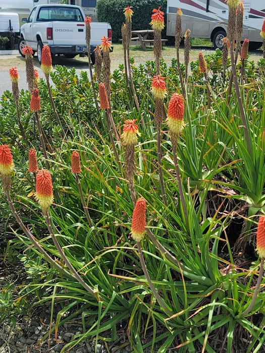 Bandon By the Sea RV Park 0