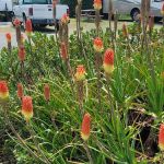 Bandon By the Sea RV Park