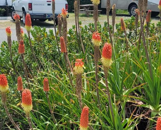 Bandon By the Sea RV Park