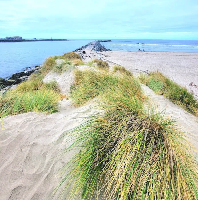 Bandon By the Sea RV Park 5