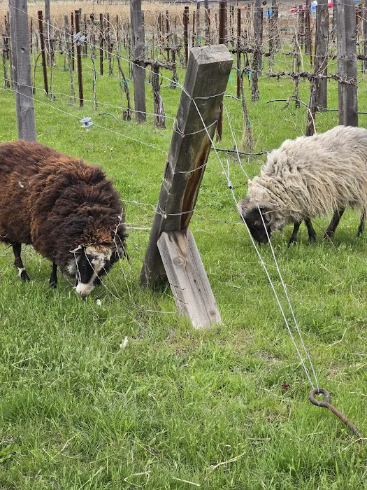Echo River Farms 0