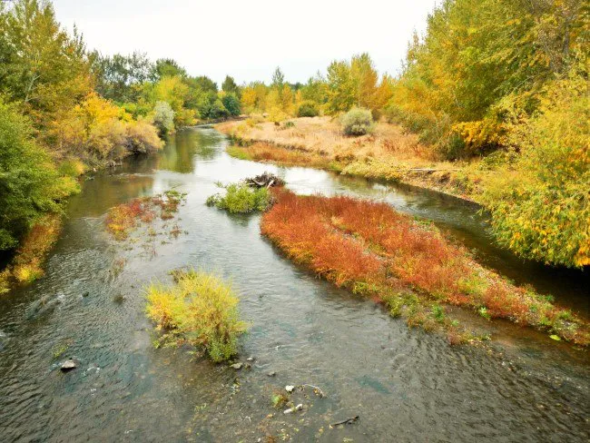 Echo River Farms 3