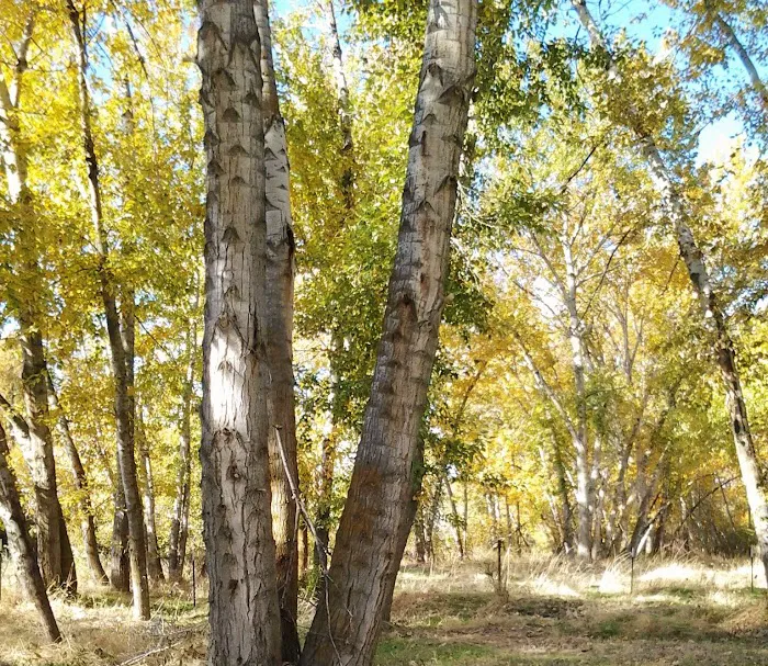 Echo River Farms 8