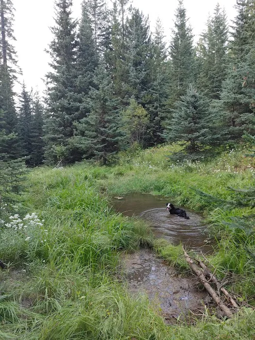 Stockade Spring Campground 4