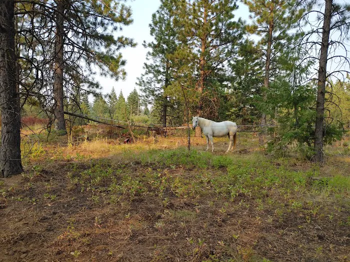 Stockade Spring Campground 3