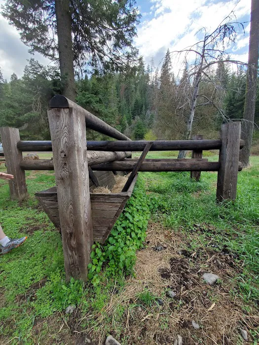 Stockade Spring Campground 6