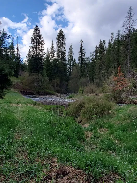 Stockade Spring Campground 5