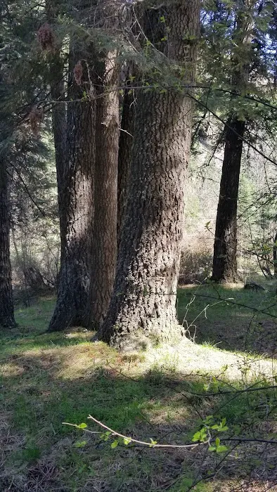 Panjab Campground 8