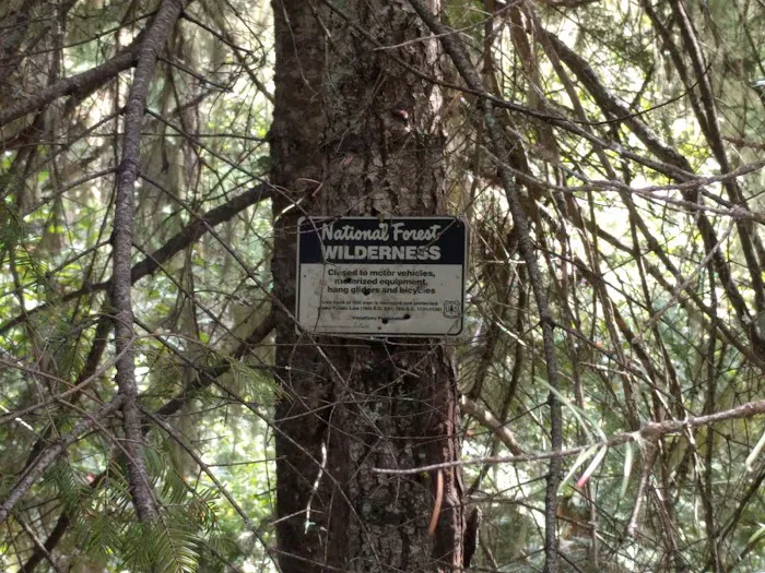 Ladybug Campground 2